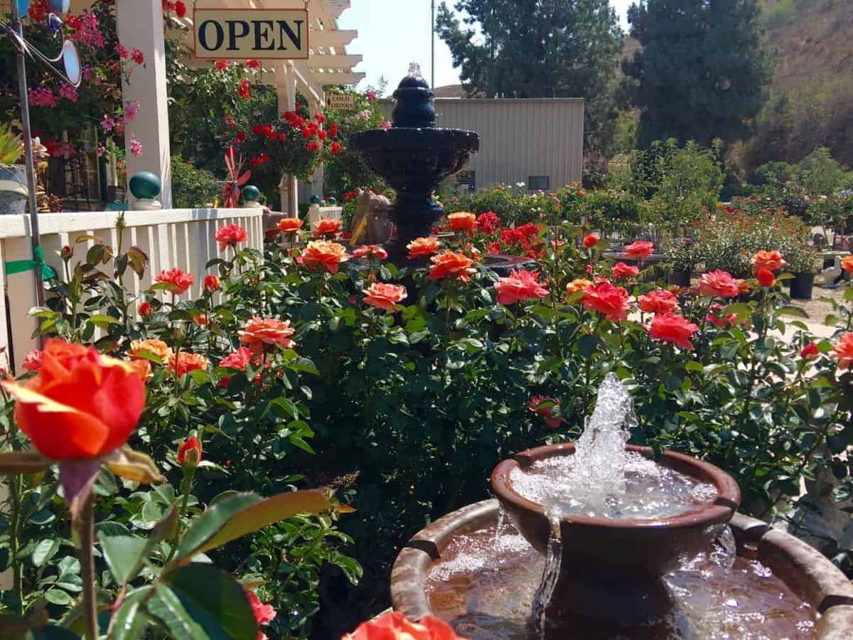 Garden Shop with Open sign visible