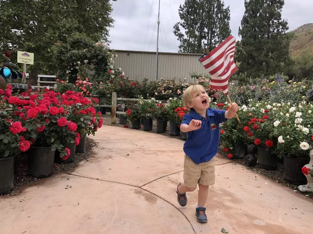 Little boy with flag in rose garden