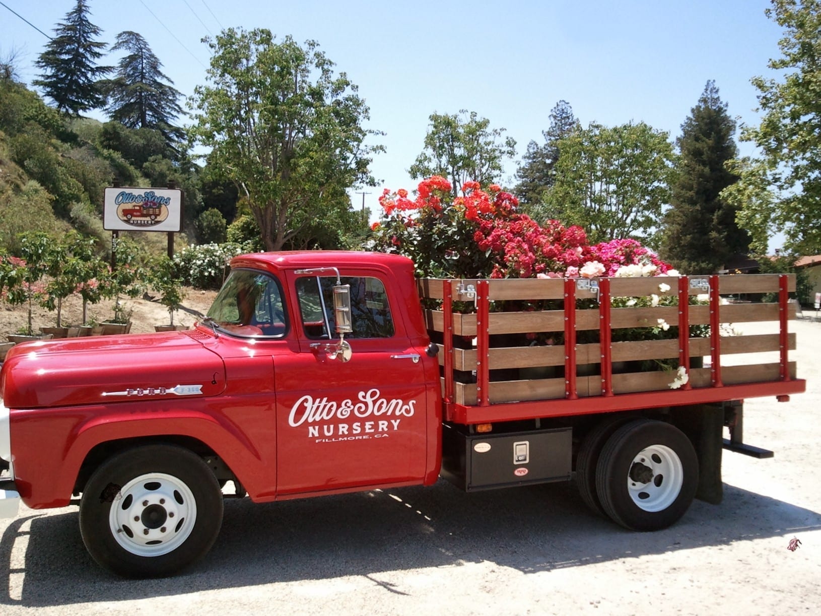 Otto & Sons Nursery Truck with Roses