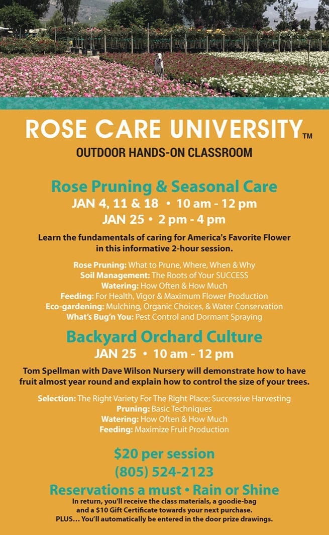 Rose Care University