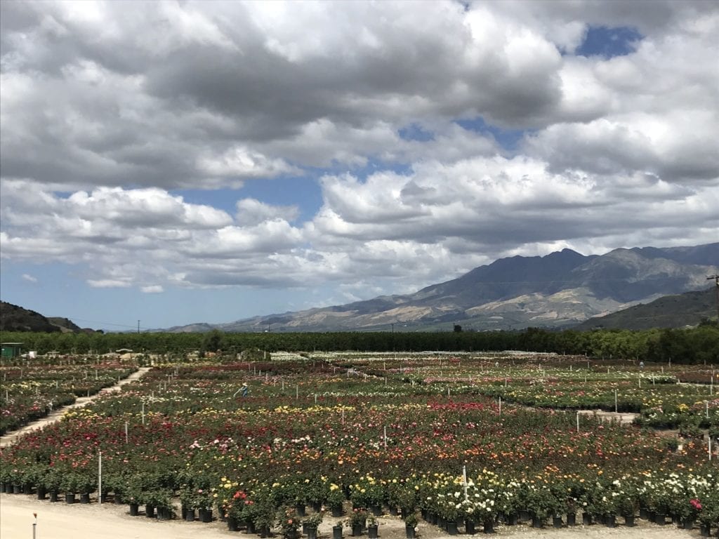 A view of the nursery on a lovely, partly cloudy day in Fillmore, California