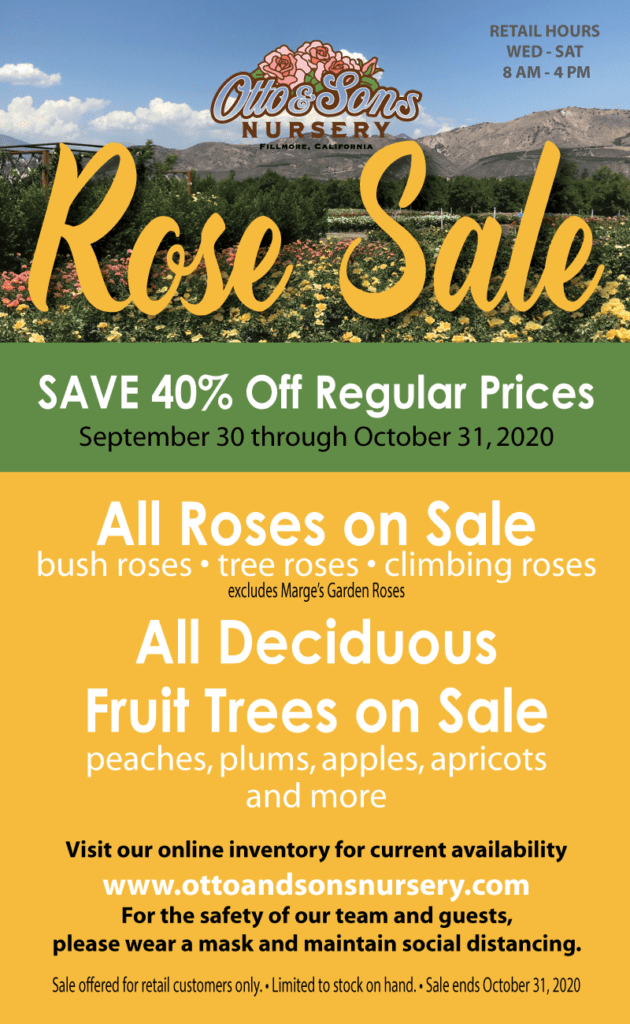 Flyer: Otto and Sons Rose Sale (October 2020)