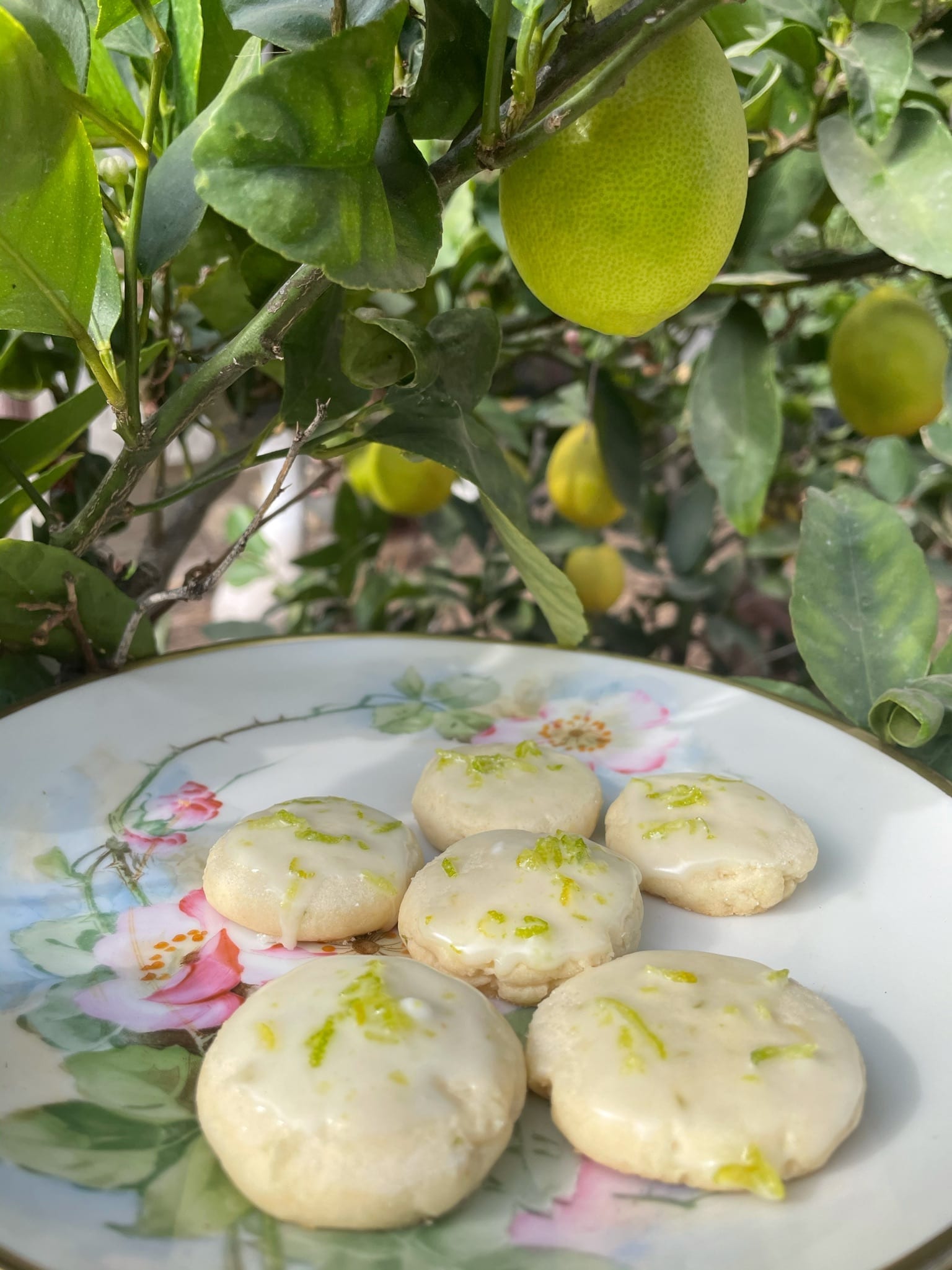 Key lime sugar cookies, with limes hanging in the background