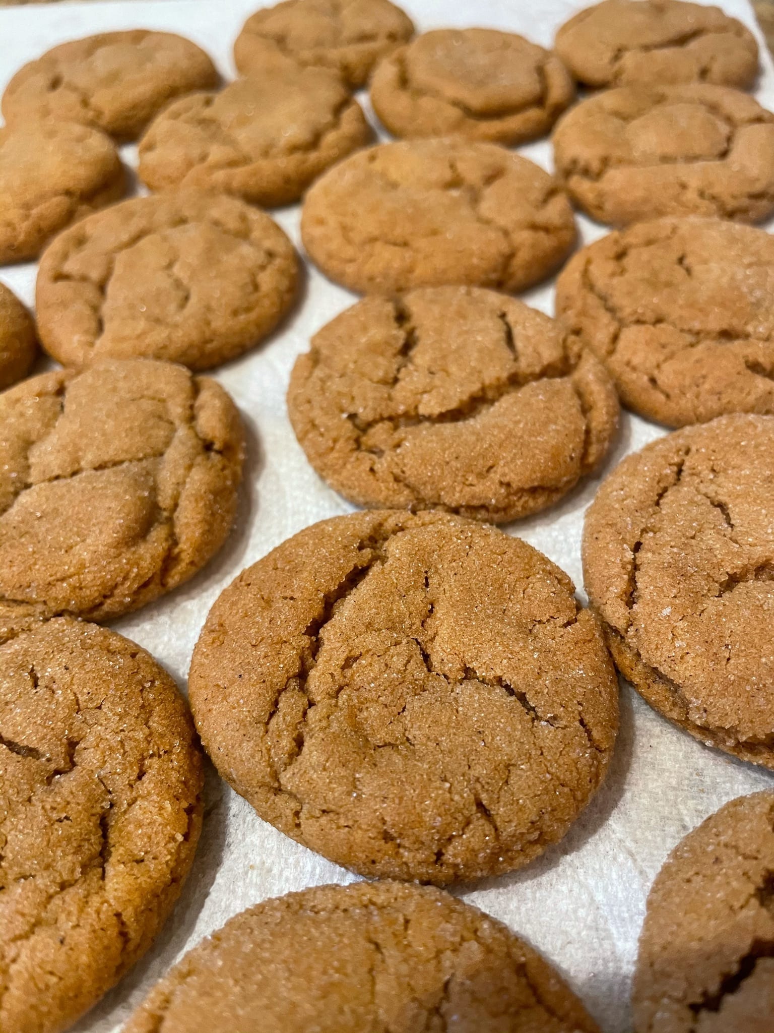 Fresh ginger snap cookies