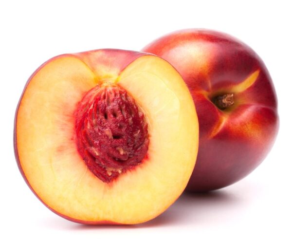 NECTARINE Double Delight – std.root – Pink Flowering – NO 05