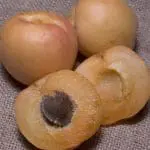 Pixiecot