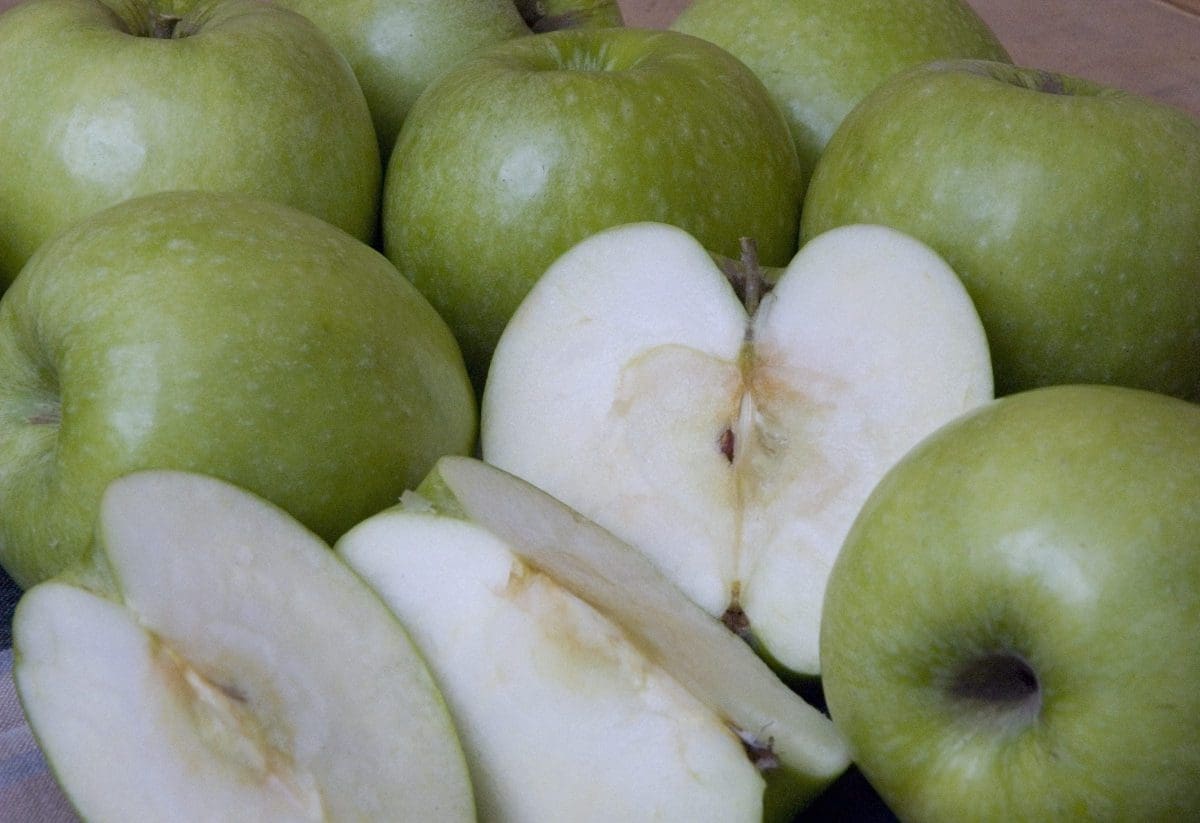 APPLE Granny Smith – semi-dwarf