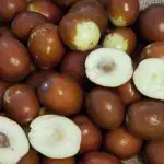 sugar cane jujube