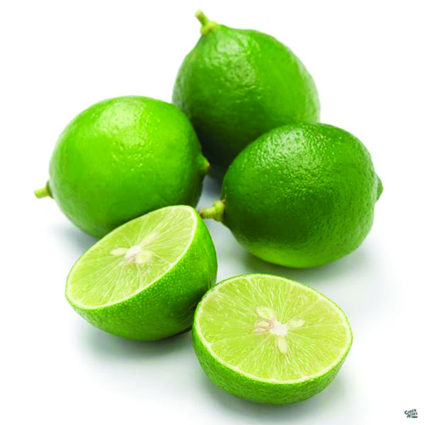 CITRUS Lime ‘Mexican’ Thornless -TREE semi-dwarf