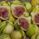 FIG Panache Tiger