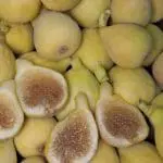 FIG Peters Honey