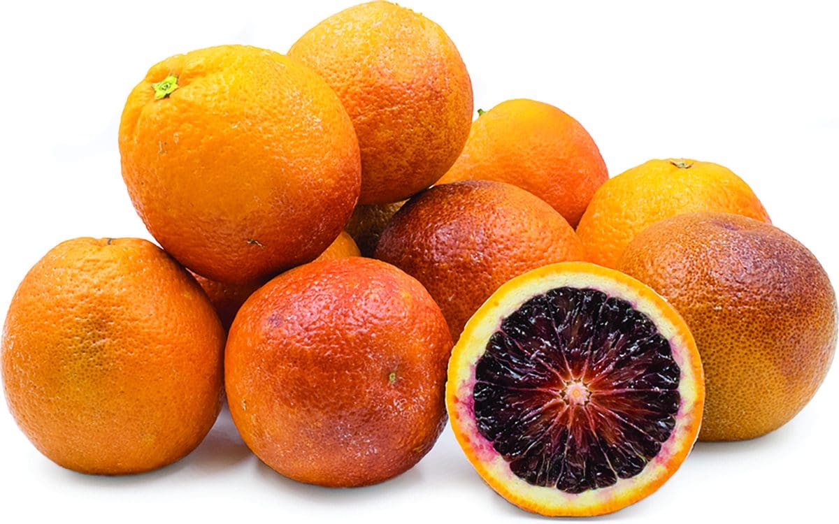 CITRUS Orange ‘Moro Blood’ -TREE std.root