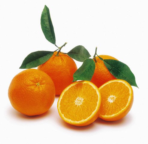 CITRUS Orange ‘Valencia Midknight’ -TREE std.root
