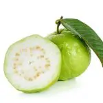 GUAVA ‘Tropic White’