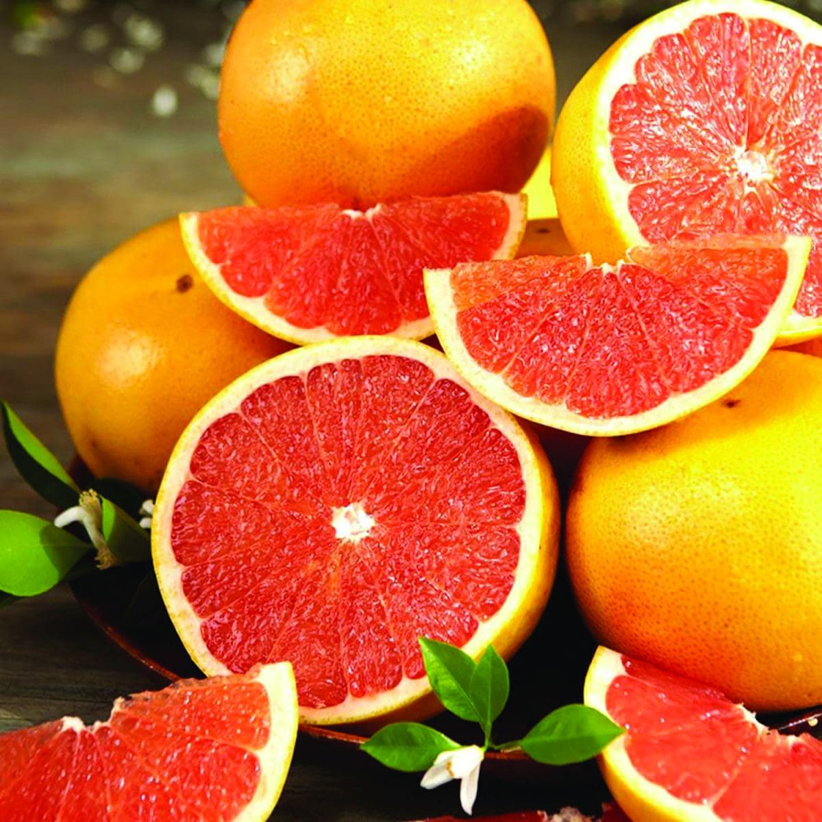 CITRUS Grapefruit ‘Flame’ -TREE std. root