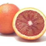 CITRUS Grapefruit ‘Star Ruby’ -TREE std.root – NO 05