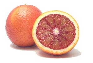 CITRUS Grapefruit ‘Star Ruby’ -TREE std.root – NO 05