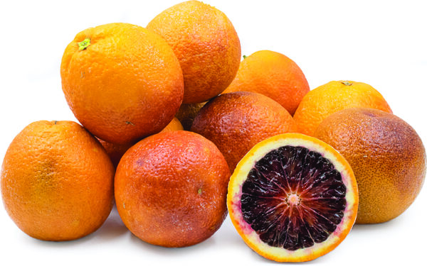CITRUS Orange ‘Moro Blood’ -TREE semi-dwarf