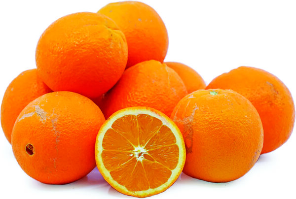 CITRUS Orange ‘Washington Navel’ -TREE semi-dwarf – NO 05