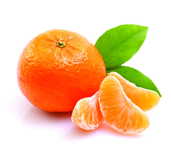 CITRUS Tangerine ‘Dancy’ -TREE semi-dwarf – NO 15