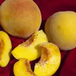 PEACH Red Baron – semi-dwarf – NO 05