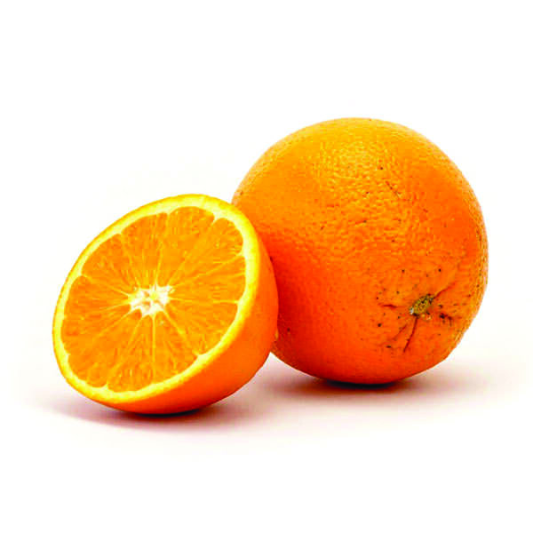 CITRUS Orange ‘Lane Late Navel’ -TREE semi-dwarf – NO 15