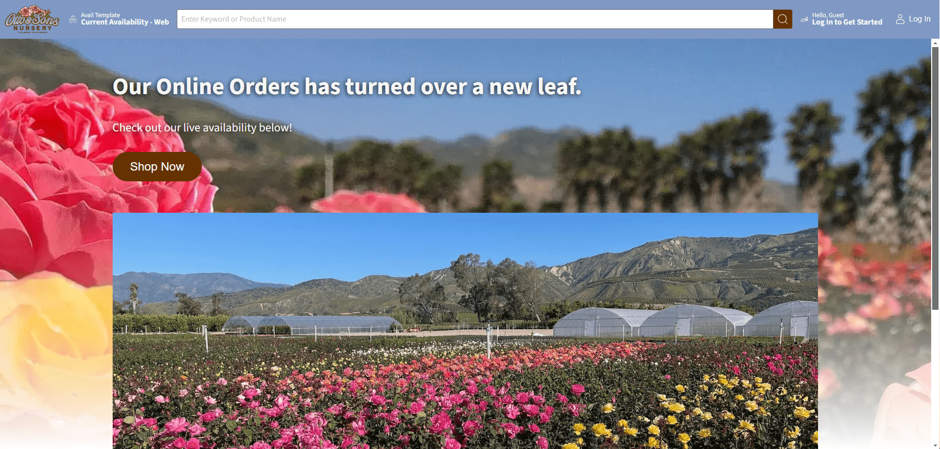 A flower nursery website featuring blooming fields with colorful flowers and greenhouse structures, promoting online orders with a Shop Now button.