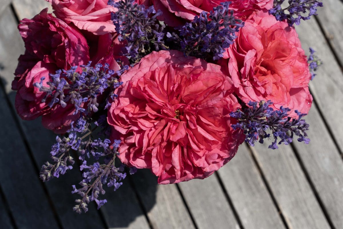 A close-up bouquet of pink roses and purple lavender rests on wooden surface, evoking the classic Loves Me, Loves Me Not™ ritual.