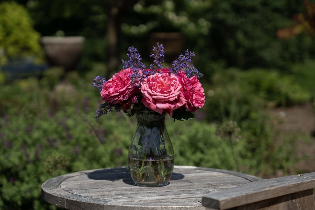 A vase overflowing with pink roses and purple flowers graces a wooden table in a garden setting, capturing the romantic essence of the Loves Me, Loves Me Not™ collection.