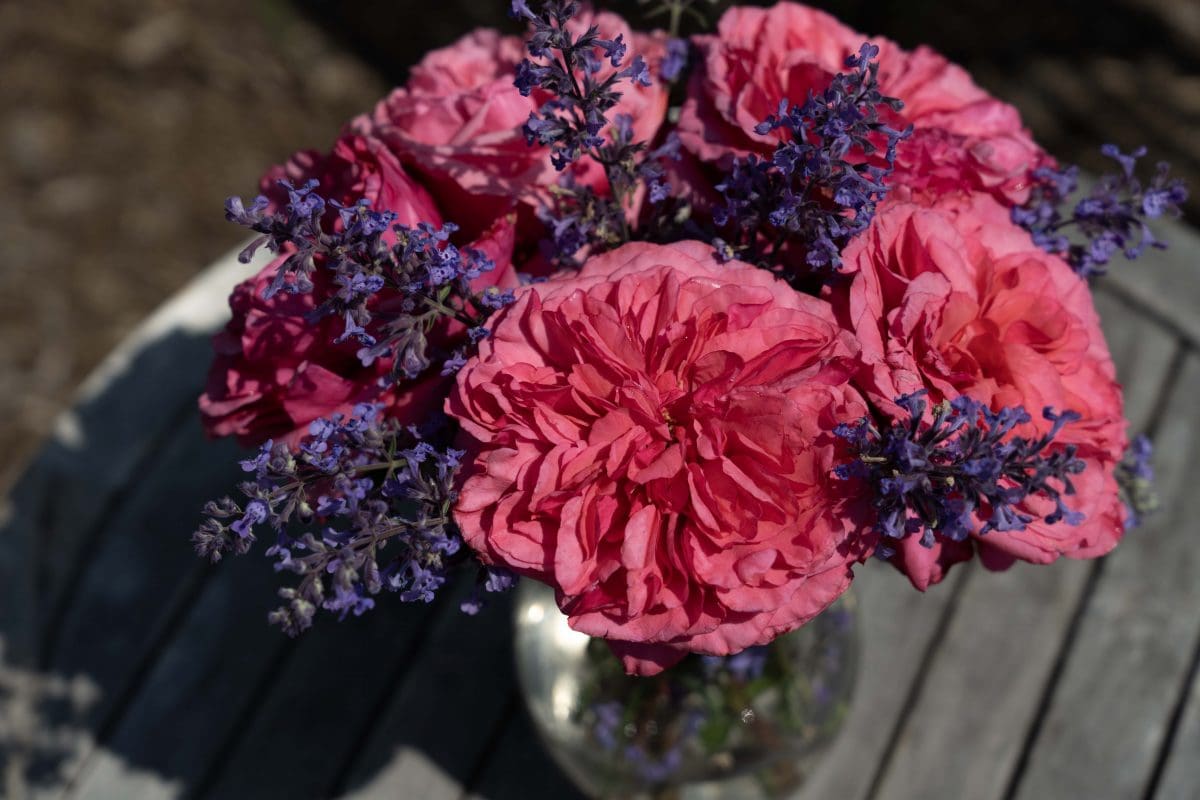 The Loves Me, Loves Me Not™ arrangement of pink roses and purple lavender in a round glass vase exudes elegance on the wooden table.