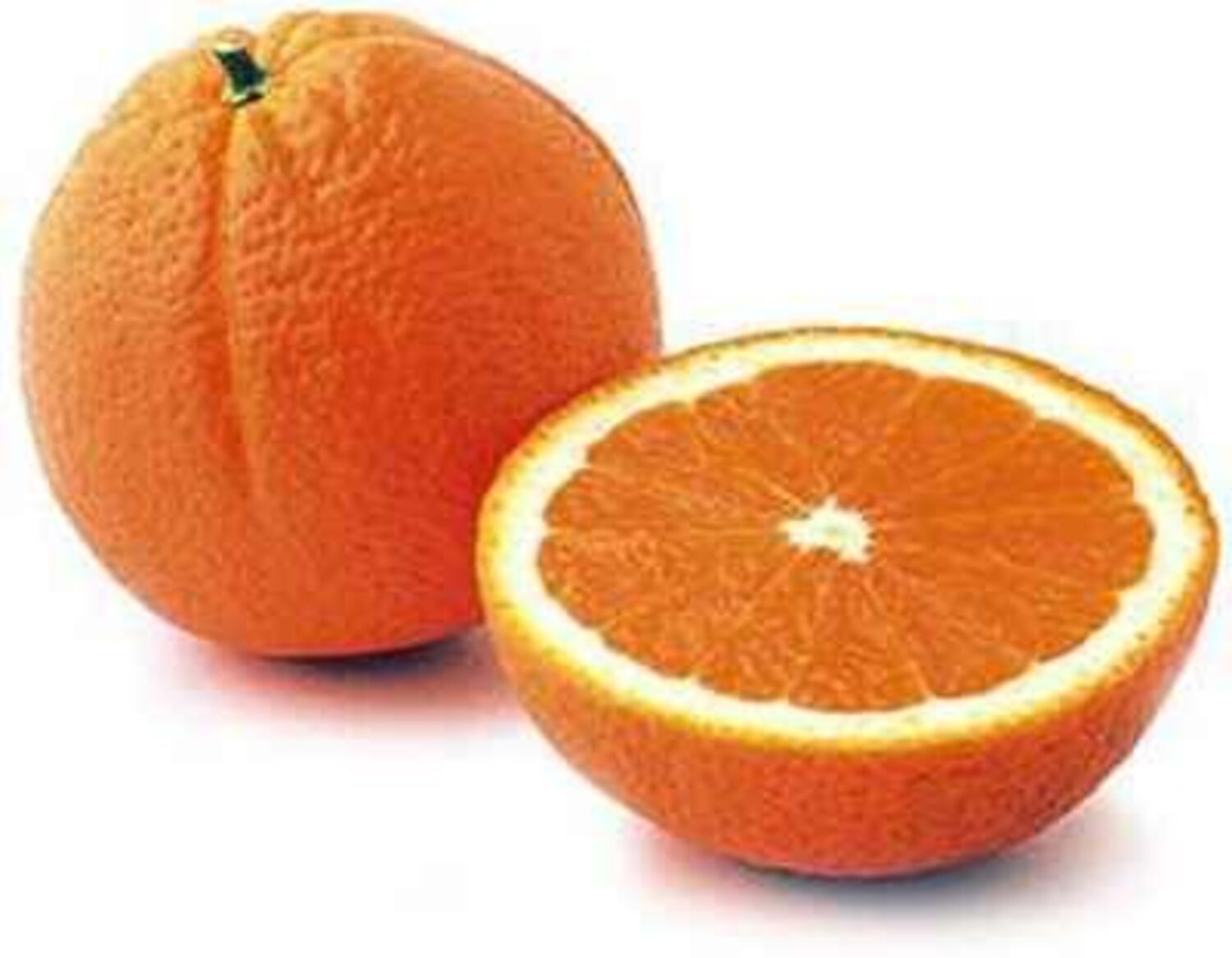 CITRUS Orange 'Lane Late Navel' -TREE semi-dwarf - Otto & Sons Nursery